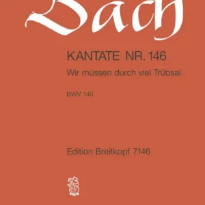 Wir müssen durch viel Trübsal Schneller Versand