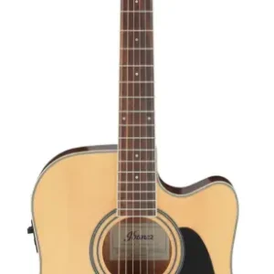 Aktuell Ibanez AW70ECE-NT